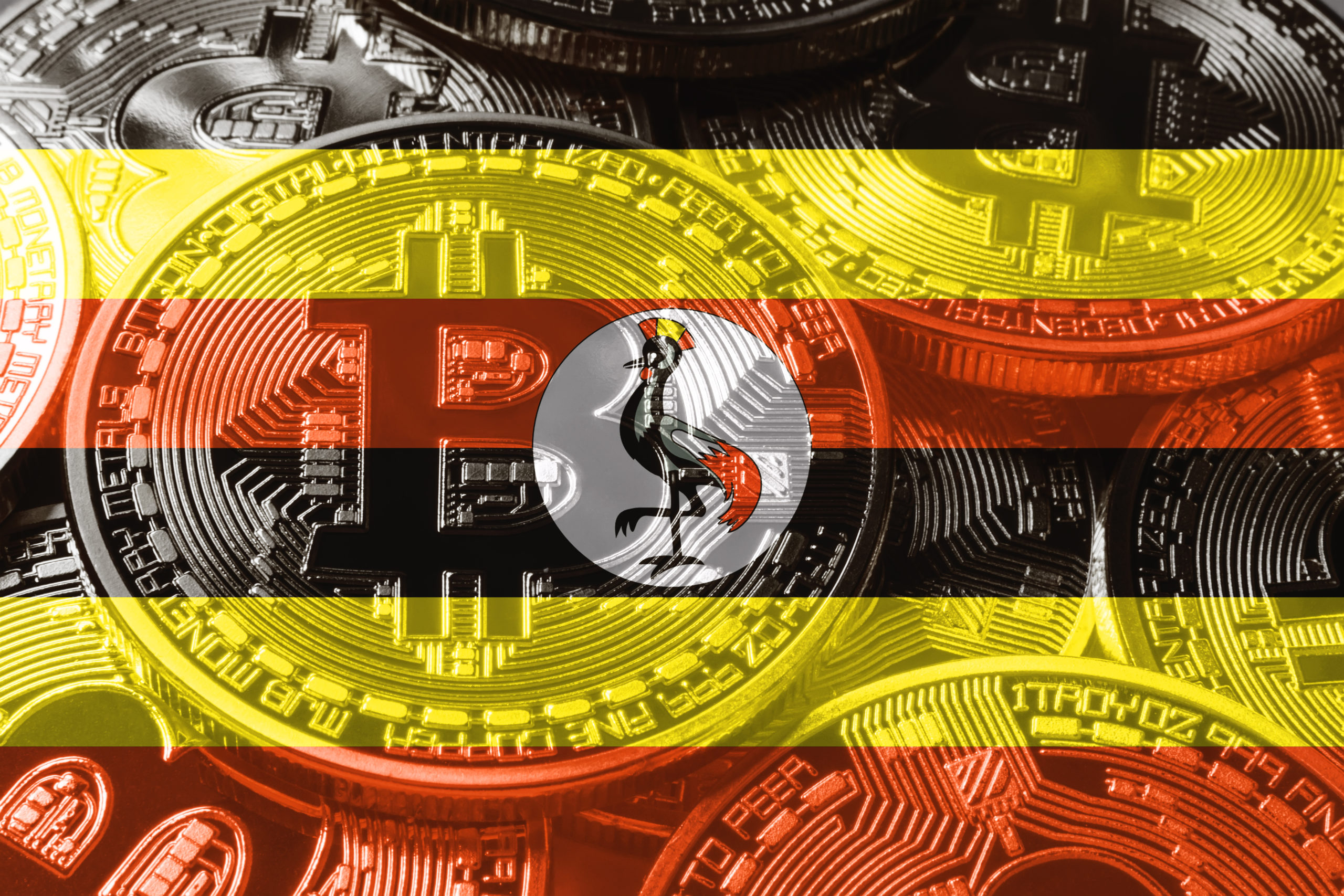 world cryptocurrency international uganda